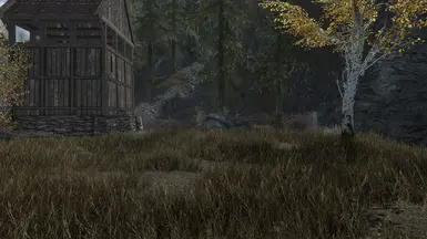 Vanilla Exterior