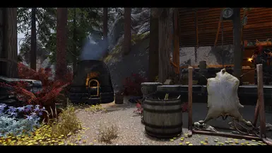 Modded Exterior