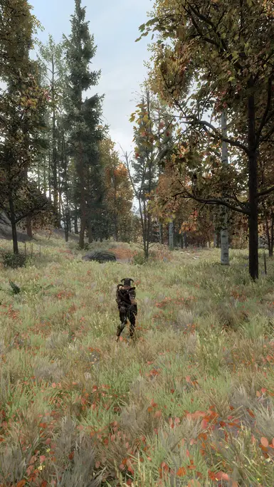 First time trying NAT, love it!