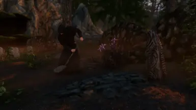 Animation Plays When You Search Graves