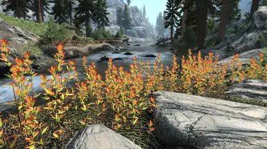 Red flora01 and 02 southwest of Riverwood.