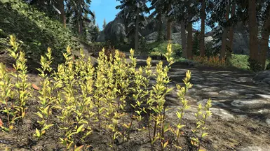 Yellow flora02 model north of the Solitude Skyway.