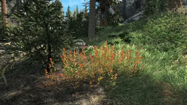 Red flora02