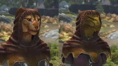 v1.3: Now the Hood supports Khajiit &amp; Argonian races