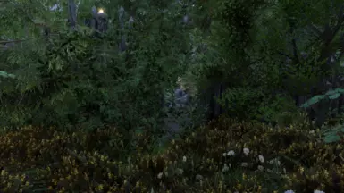 Without the patch