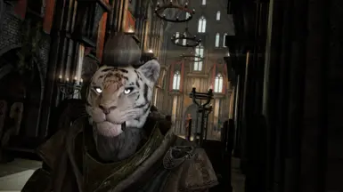 The cat, The myth, the legend