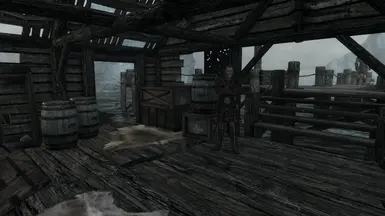 Thalmor standing guard during A New Source of Stalhrim