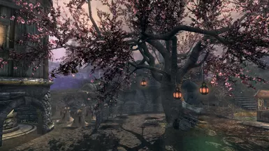 Faeweldyn