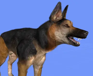 old v1.0 German Shepherd. Replaced with better model in v2.5