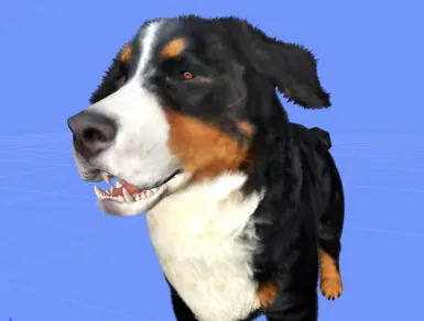 New v1.991 Bernese