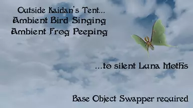 Choose birds, frogs, or both