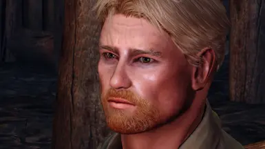 Lily (Ayame_Passe) - Fine Face Textures for Men - Custom ENB