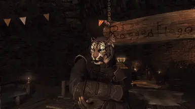 MaleKhajiit