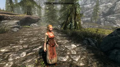 Как установить flower girls skyrim se