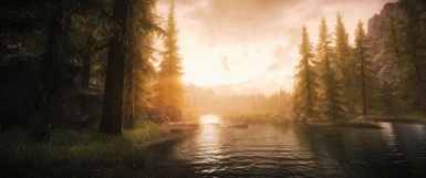 Every Tree Different Mystic Enb