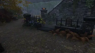 Modded - Back Yard