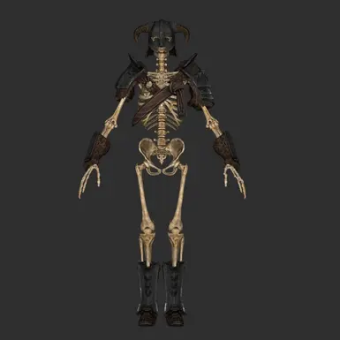 SkeletonArmorFull