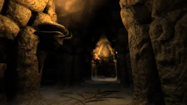 The Catacombs