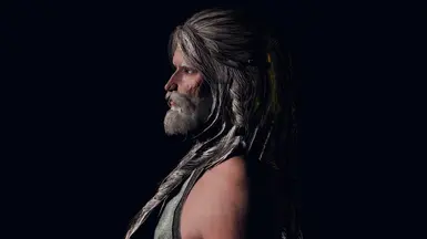 by A Friend - Custom ENB - SOSAM skin, highly customized.