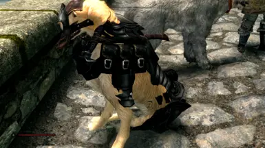 Equipment may look off depending on the dog model