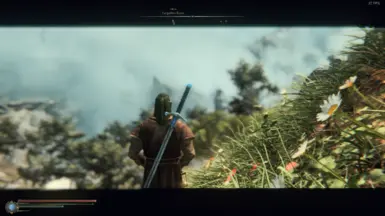 Enhanced Realism Edition