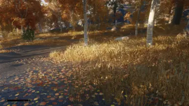 autumn