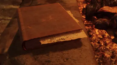 NEW bookruined02.nif