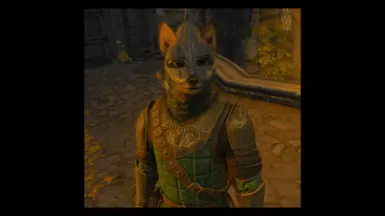 Jesper's a fox now. (Wearing Markarth armor because WR's broken)