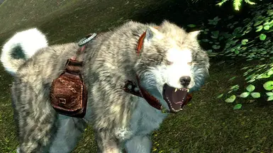 Casual Dog Animations (DAR-OAR)