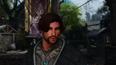 LadyFireBird117 - Tempered Skins - Skyrim-re-engaged ENB