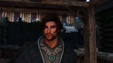 LadyFireBird117 - Tempered Skins - Skyrim-re-engaged ENB