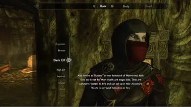 Dark Elf2