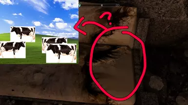 Picture of what I imagine must be the cows they used