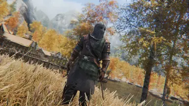 Northman Armor