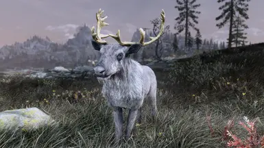 Skyrim Critters n Creatures