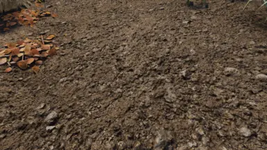 Amon ENB NAT III