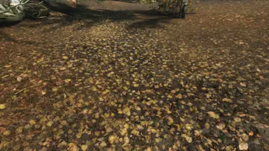 Vanilla Weather - Community Shaders