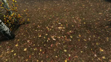 Vanilla Weather - Community Shaders