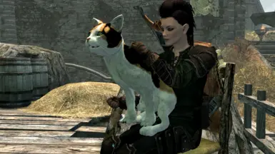 New lap sitting anim