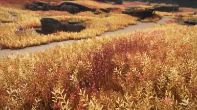 Default Tundra