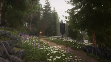 Pine Forest