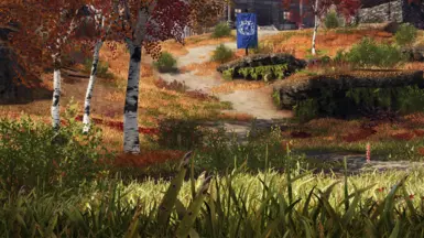 Fall Forest