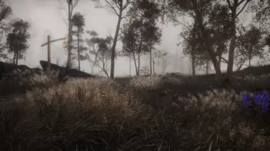Frozen Marsh