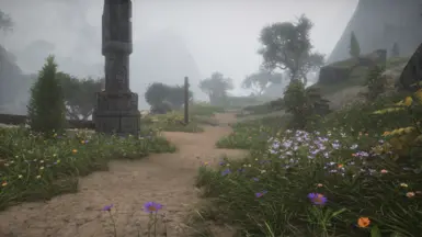 The Reach