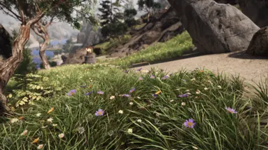 The Reach