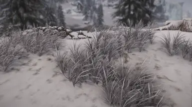Snowy Region