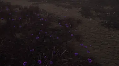 Soul Cairn