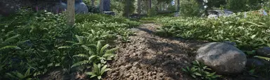 Rocky Path III