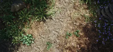 Rocky Path III