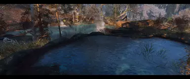 TEAL Version